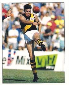 1995 Select AFL Stickers #189 Greg Dear Front